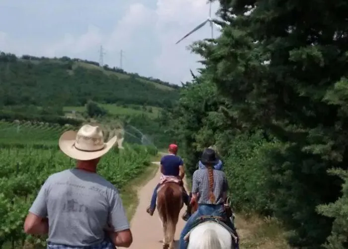 Giacomo Leopardi Cavaion Veronese